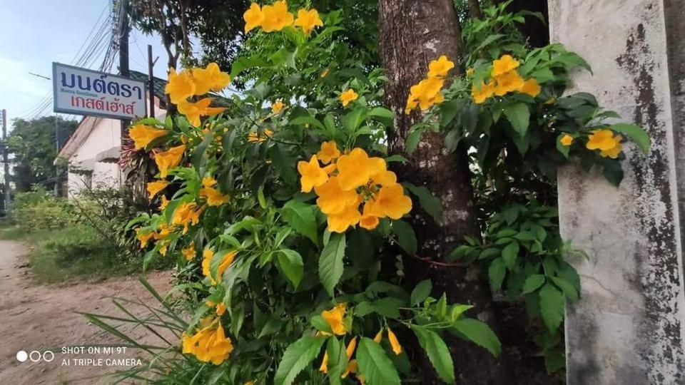 רנונג Montra Guesthouse מראה חיצוני תמונה